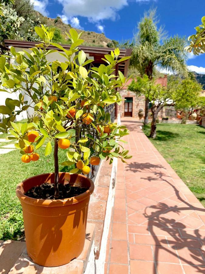 B&B Villa Vittoria Giardini Naxos Eksteriør billede